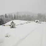 Relax In Evergreen *