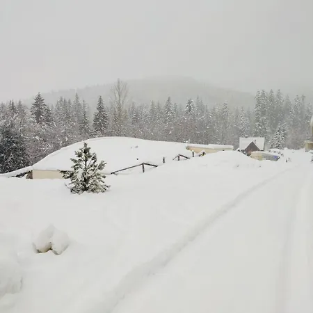 Relax In Evergreen *