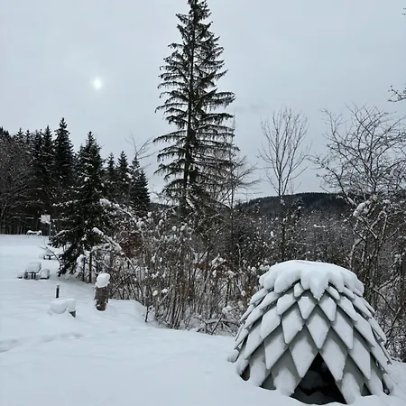 Apartment Relax In Evergreen *