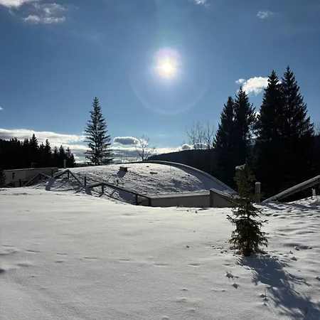 Lägenhet Relax In Evergreen Tale