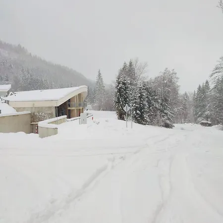 Relax In Evergreen Tale