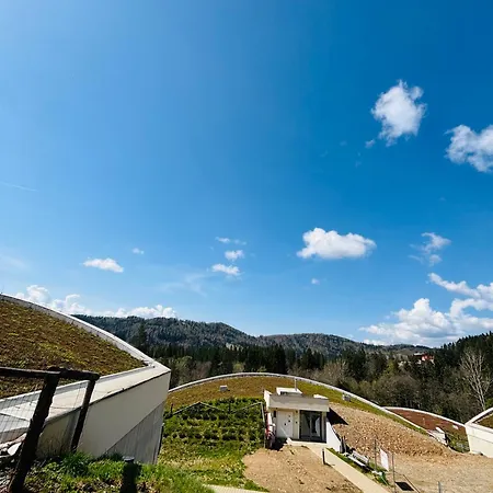 Relax In Evergreen Tale