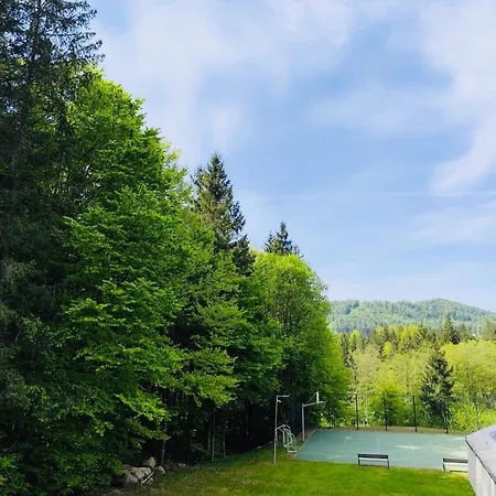 Relax In Evergreen *