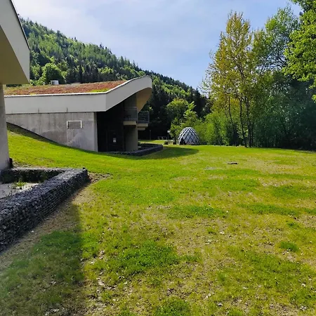 Relax In Evergreen Tale