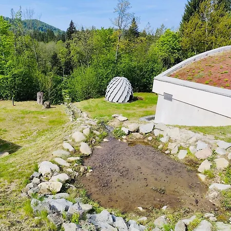 Relax In Evergreen Apartment Tale