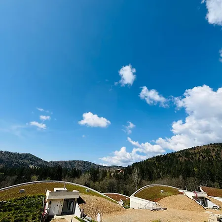 Relax In Evergreen Tale