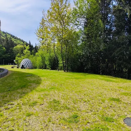 Relax In Evergreen Tale